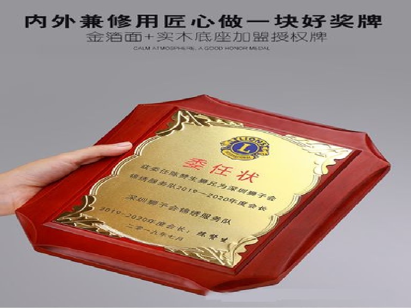 证件遗失补办替代